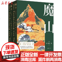 [新华书店]正版 魔山(全2册)托马斯·曼山东文艺出版社9787532960064 书籍