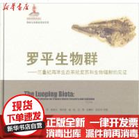 [新华书店]正版 罗平生物群:三叠纪海洋生态系统复苏和生物辐 的见证( )胡世学9787558701108云南科学技术出