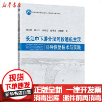 【新华书店】正版 长江中下游分汊河段通航主汊引导恢复技术与实践刘万利人民交通出版社9787114157714 书籍