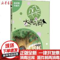 [新华书店]正版 朵朵和大嘴乌鸦•榆树镇的夏天马传思9787541155611四川文艺出版社 书籍