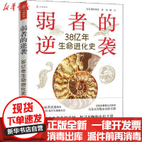 [新华书店]正版 万物新知•弱者的逆袭 38亿年生命进化史稻垣荣洋接力出版社9787544866385 书籍