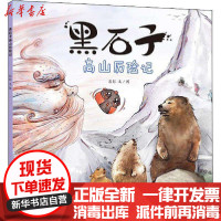 [新华书店]正版 黑石子高山历险记彭彭少年儿童出版社9787558907579 书籍