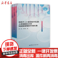 [新华书店]正版 核因子κB1调控奶牛乳腺上皮细胞乳合成和细胞增殖的作用机理黄鑫黑龙江大学出版社