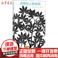 【新华书店】正版 浣熊往上爬呀爬埃米莉·瓦斯特新蕾出版社9787530769898 书籍