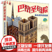 [新华书店]正版 巴黎圣母院 从未消失的奇迹大卫·霍考克电子工业出版社9787121389542 书籍