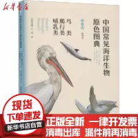 [新华书店]正版 中国常见海洋生物原色图典 鸟类 爬行类 哺乳类李欣吉郭小庆宋洁薛腊梅冉昌中国海洋大学出版社
