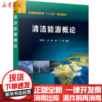 [新华书店]正版 清洁能源概论邓祥元化学工业出版社9787122369772 书籍