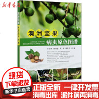 [新华书店]正版 澳洲坚果病虫原色图谱王文林9787109268180中国农业出版社 书籍