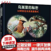 [新华书店]正版 鸟巢里的秘密 32种常见鸟类家庭模式劳拉·埃里克森清华大学出版社9787302555001 书籍
