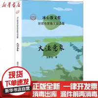 [新华书店]正版 大洼意象张华北中国经济出版社9787513656870 书籍