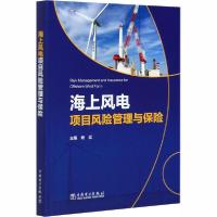 [新华书店]正版海上风电项目风险管理与保险  电投集团有限公司中国电力出版社9787519844127水利工程