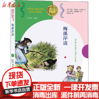 [新华书店]正版 纽伯瑞儿童文学奖获奖作品精选•梅溪岸边劳拉·英格斯·怀德南京大学出版社9787305230516 书