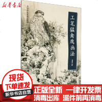 [新华书店]正版 工笔猛禽鹰画法杨联国天津杨柳青画社9787554709252 书籍
