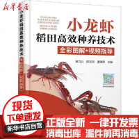 [新华书店]正版 小龙虾稻田高效种养技术全彩图解 视频指导黄鸿兵、陈友明、唐建清化学工业出版社978712237288