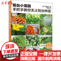 [新华书店]正版 阳台小菜园 手把手教你无土阳台种菜伊藤龙三人民邮电出版社9787115545947 书籍