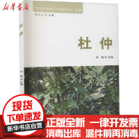 [新华书店]正版 杜仲刘劲中国林业出版社9787521905861 书籍