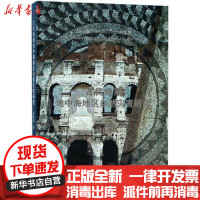 [新华书店]正版 古代晚期地中海地区自然灾害研究刘榕榕中国社会科学出版社9787520320542 书籍