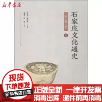 [新华书店]正版 石家庄文化通史 宋金元卷王慧杰中国社会科学出版社9787520325813 书籍