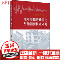 [新华书店]正版 地基基础液化鉴定与加固新技术研究杨润林知识产权出版社9787513056410 书籍