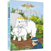 [新华书店]正版很后的中国战象•白象家族之象冢归途 漫画版沈石溪山东画报出版社9787547437346欧美漫画