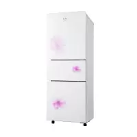 奥克斯 (AUX) 146/176升 双门冰箱家用电冰箱两门小型双开门冰箱 节能保鲜冰箱 印象白