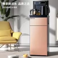 奥克斯(AUX)茶吧机 家用多功能智能遥控温热型速热立式饮水机 遥控金色温热款