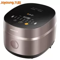 九阳(Joyoung)肖战推荐 电饭煲电饭锅智能预约多功能大功率4L大容量 铁釜内胆 [4L热卖款]