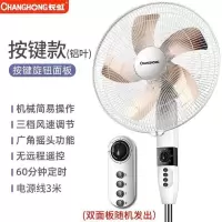 长虹电风扇立式家用落地扇台式大风工业电扇宿舍可定时 机械铝叶延长线