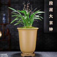 苏宁放心购宜兴紫砂花盆 金钟花盆兰花盆 光面素面京钟简约光板花盆超透气