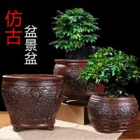 苏宁放心购紫砂花盆兰花盆特大号盆景盆浮仿古君子兰花盆栽绿植