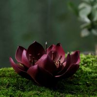 苏宁放心购陶瓷手捏莲花线香插家居装饰禅意摆件书房茶道摆设精品荷花香座