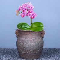 苏宁放心购大号特大口径高筒蝴蝶兰菊花月季金钱木专用多肉肉花盆陶瓷老桩盆