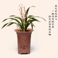 苏宁放心购宜兴紫砂花盆兰花花盆陶瓷盆景盆栽简约透气植树花盆