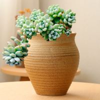 苏宁放心购多肉花盆大号粗陶透气复古老桩兰花盆创意植物组合陶瓷盆