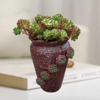 苏宁放心购多肉个性陶瓷花盆多孔洞洞花盆多肉盆栽摆件绿植陶瓷盆高款兰花盆