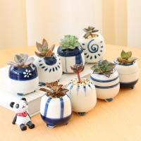 苏宁放心购家用多肉花盆陶瓷拇指盆创意粗陶肉肉盆特小号多肉盆器套装