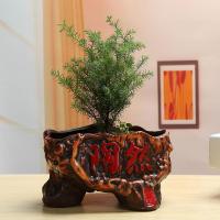 苏宁放心购欧式大号文竹吊兰陶瓷花盆个性创意复古榕树盆栽绿植多肉盆