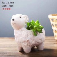 苏宁放心购卡通可爱多肉花盆小号植物白色陶瓷创意个性简约