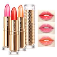 #03果粒橙/3.8g 魅惑炫彩果冻口红轻盈水润唇彩不易脱色彩妆化妆品 #03果粒橙/3.8g