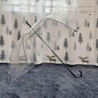 透明雨伞磨砂雨伞晴雨两用雨伞长柄雨伞网红学生女小清新高级雨伞