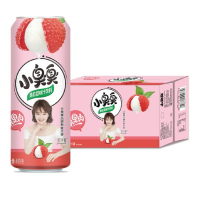 小臭臭果粒果汁荔枝味490ml