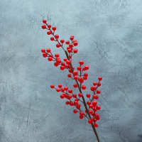 仿真红果 新年福桶套装 新年家居装饰摆件 发财果套装 年宵花9叉红果