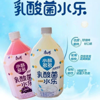 康师傅 小酪多多乳酸菌饮品1L/瓶