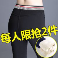 加绒加厚打底裤女外穿高腰保暖铅笔小脚裤子大码显瘦棉裤羽绒裤