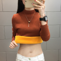 半高领加绒毛衣打底衫女2020新款秋冬女士加厚保暖修身内搭针织衫