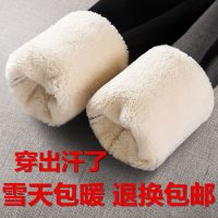 特厚羊羔绒打底裤女外穿冬季加绒加厚超厚高腰弹力一体保暖裤棉裤