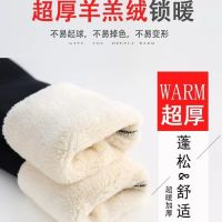 羊羔绒棉裤女高腰弹力加绒加厚外穿打底裤女秋冬新款休闲小脚女裤