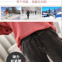 金丝绒裤子女秋冬加绒加厚羊羔绒运动裤女休闲保暖裤宽松哈伦棉裤