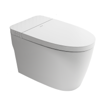 希箭(HOROW) R2Q无水压轻智能马桶O2O(不含安装)