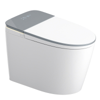 希箭(HOROW)AS19陶瓷内壁电解水除菌全智能马桶O2O(不含安装)